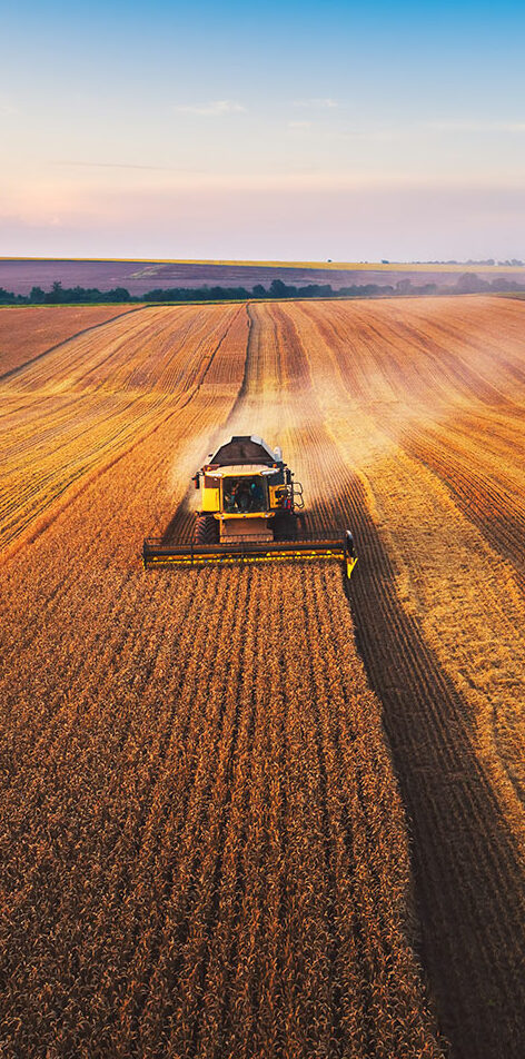 AdobeStock_363018377